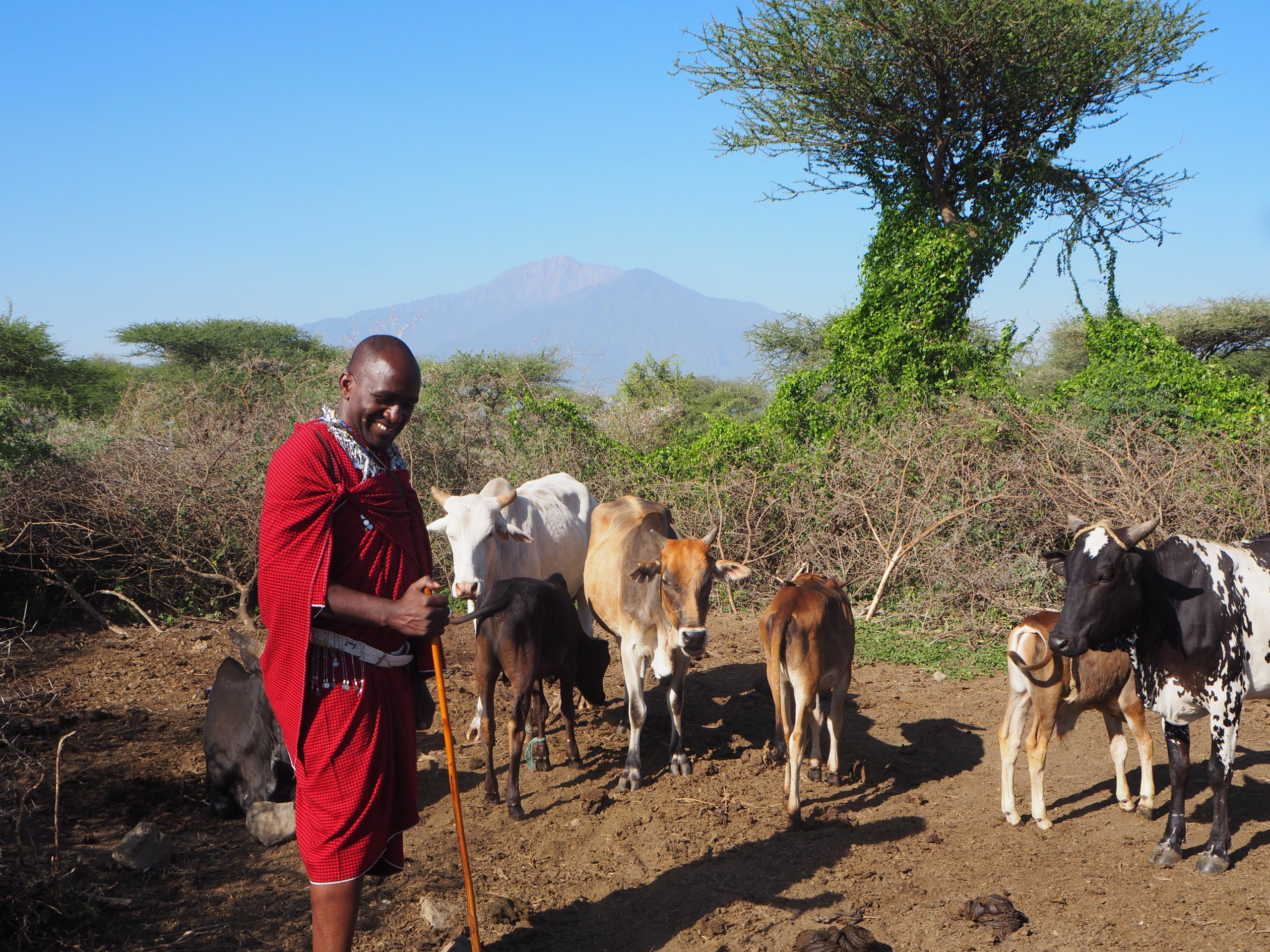 Initiation into African Wisdom: What I Learned Among the Maasai olympus digital camera