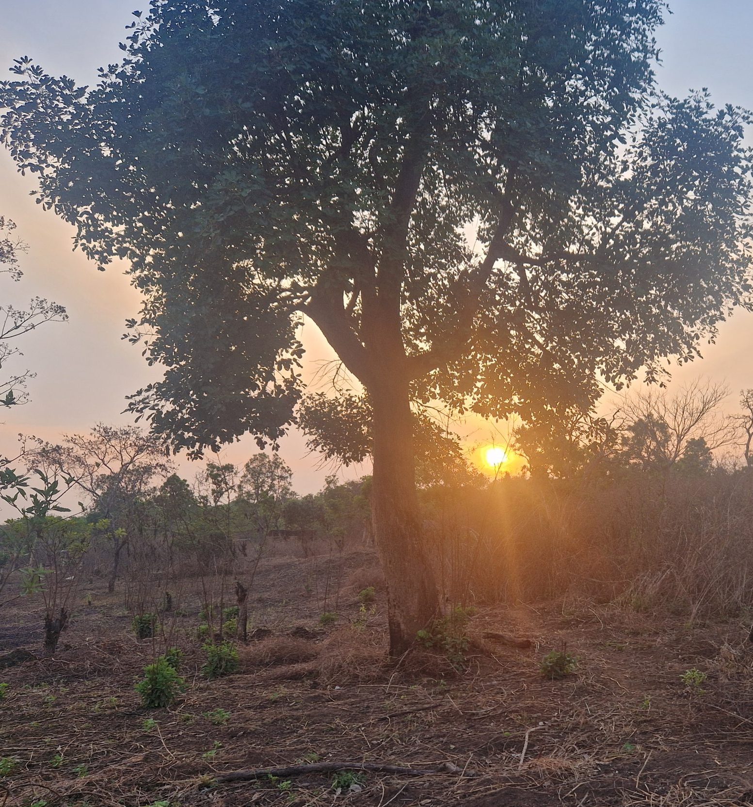 The Day of Birth in Bamiléké Culture: An Exceptional Moment of Connection 20250312 175413